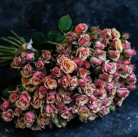 Букет из 19 кустовых роз 50см
