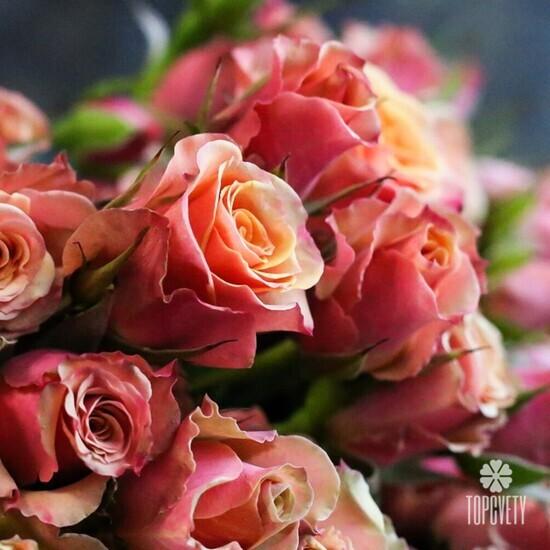 Букет из 19 кустовых роз 50см