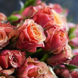 Букет из 19 кустовых роз 50см