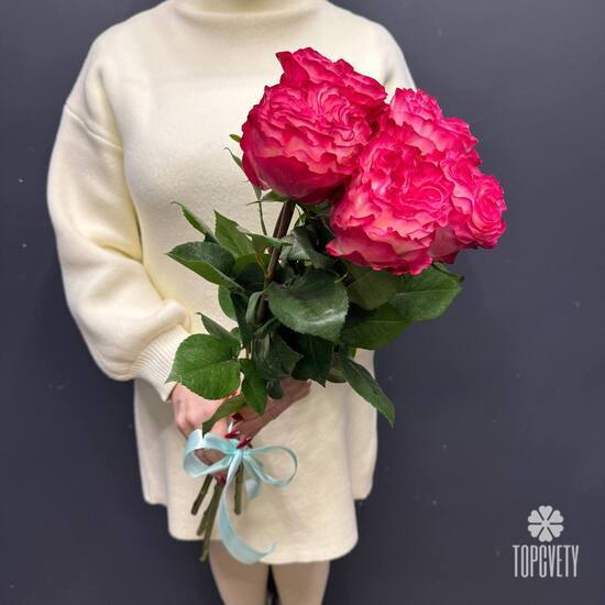 Букет из 5 розовых роз Эквадор 50см