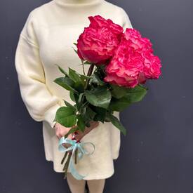 Букет из 5 розовых роз Эквадор 50см