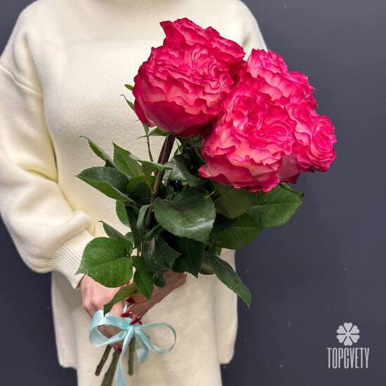 Букет из 5 пионовидных роз Эквадор 50см