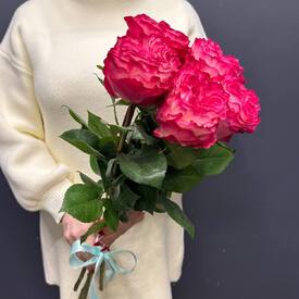 Букет из 5 пионовидных роз Эквадор 50см