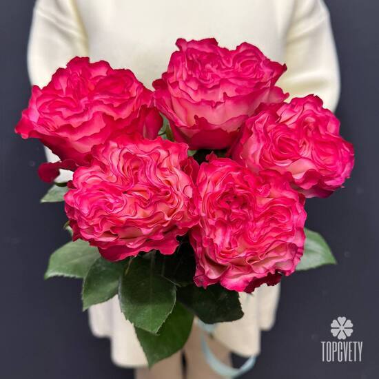 Букет из 5 пионовидных роз Эквадор 50см