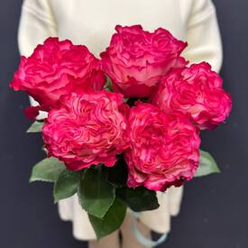 Букет из 5 пионовидных роз Эквадор 50см