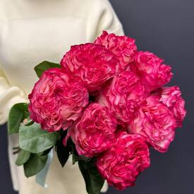 Букет из 9 пиновидных роз Эквадор 50см