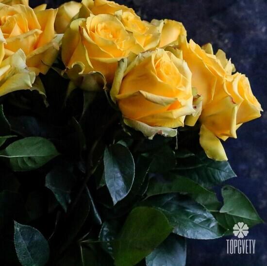 Букет из 25 желтых роз