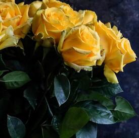 Букет из 25 желтых роз