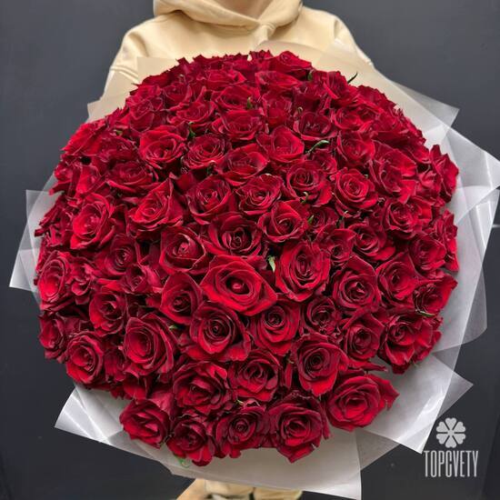 Букет из 101 красной розы Кения 50см 