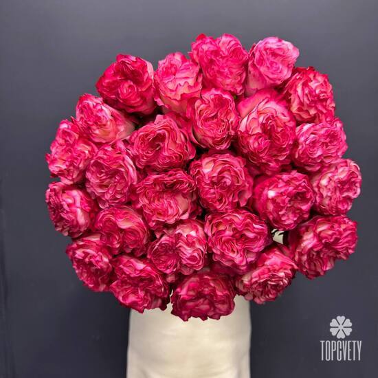 Букет из 25 пиновидных роз Эквафдор 50см