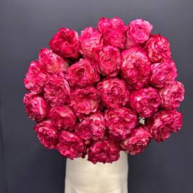 Букет из 25 пиновидных роз Эквафдор 50см