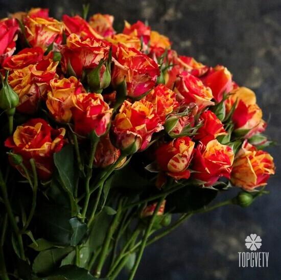 Букет из 21 оранжевой кустовой розы 50см