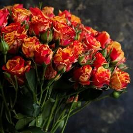 Букет из 21 оранжевой кустовой розы 50см