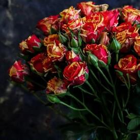 Букет из 21 оранжевой кустовой розы 50см