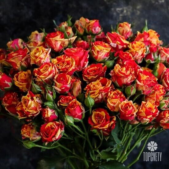 Букет из 21 оранжевой кустовой розы 50см