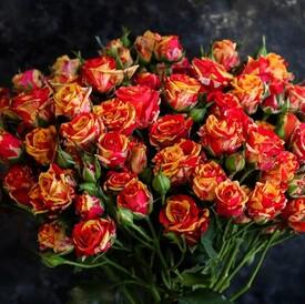 Букет из 21 оранжевой кустовой розы 50см