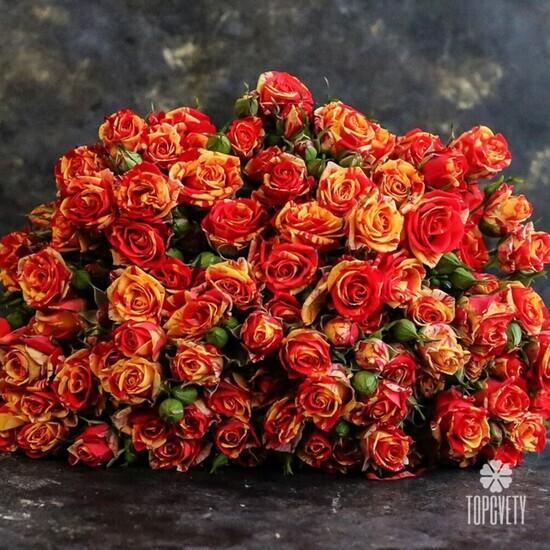 Букет из 21 оранжевой кустовой розы 50см