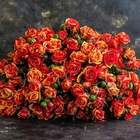 Букет из 21 оранжевой кустовой розы 50см