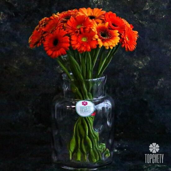 Букет из 25 оранжевых гербер