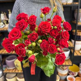 Букет из 7 красных кустовых роз Россия 50см