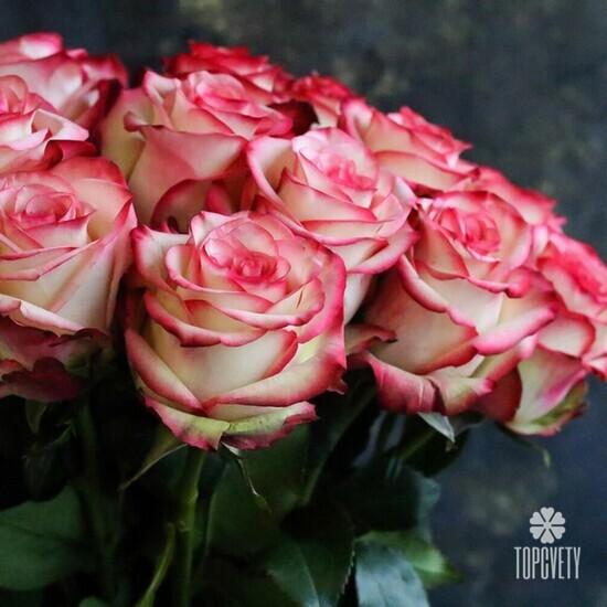 Букет из 25 розовых роз Карусель