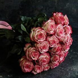 Букет из 25 розовых роз Карусель