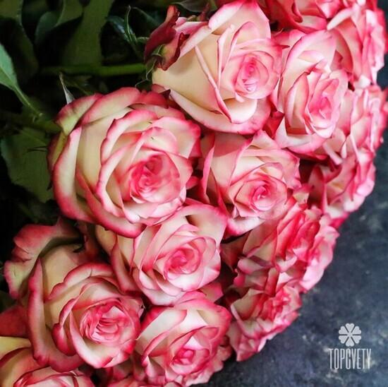 Букет из 25 розовых роз Карусель