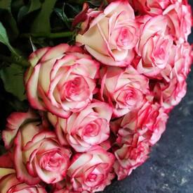 Букет из 25 розовых роз Карусель