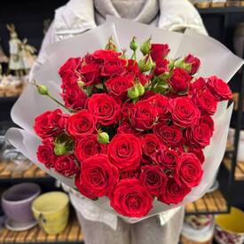 Букет из 11 красных кустовых роз Россия 50см