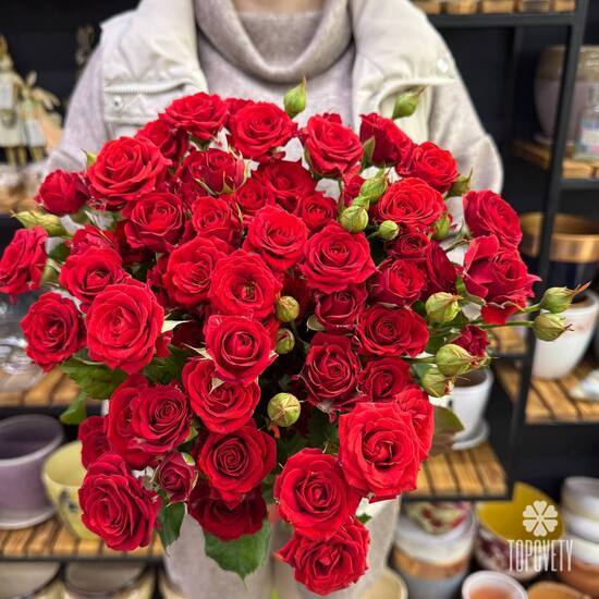 Букет из 13 красных кустовых роз Россия 50см