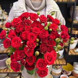 Букет из 13 красных кустовых роз Россия 50см