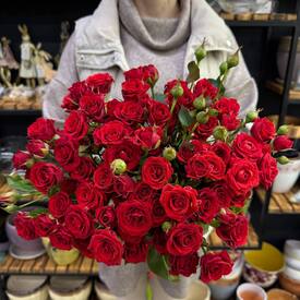 Букет из 15 красных кустовых роз Россия 50см