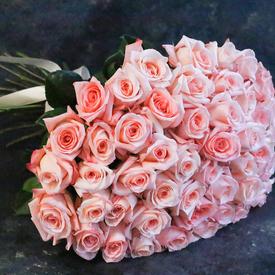 Букет из 51 розовой розы 50см