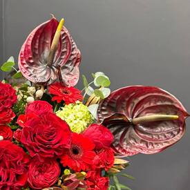 Композиция из роз, гербер и антуриума в шляпной коробке 