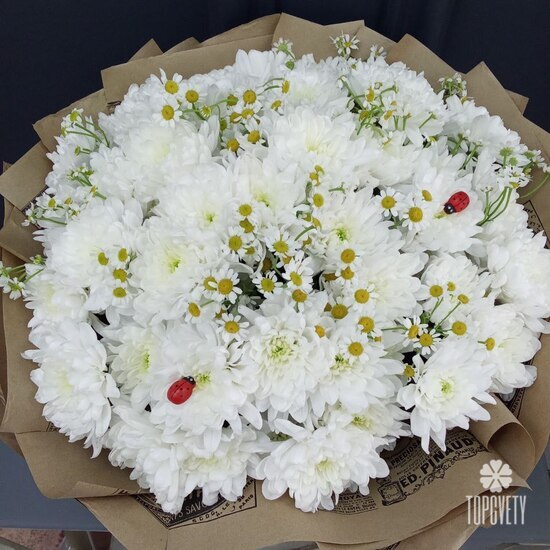 Букет из 9 розовых роз Кения 40см