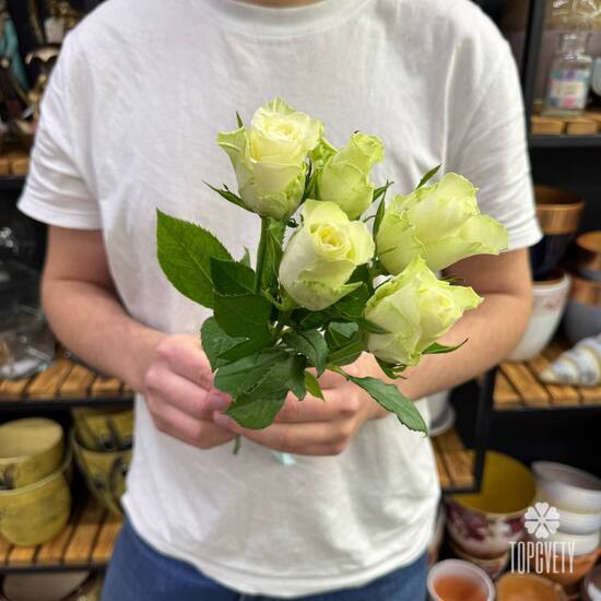 Букет из 5 белых роз Кения 35см