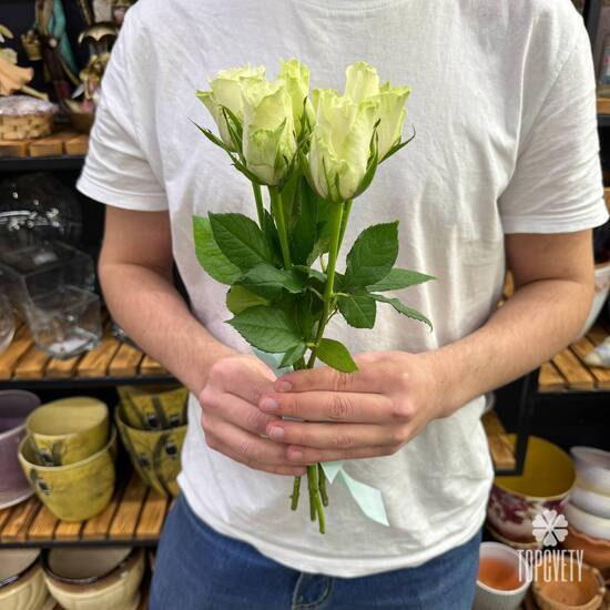 Букет из 5 белых роз Кения 35см