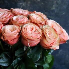 Букет из 25 пионовидных роз Кахала 60см
