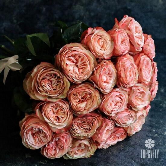Букет из 25 пионовидных роз Кахала 60см