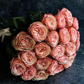 Букет из 25 пионовидных роз Кахала 60см