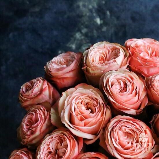 Букет из 25 пионовидных роз Кахала 60см