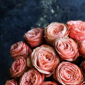 Букет из 25 пионовидных роз Кахала 60см