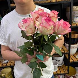 Букет из 7 розовых роз Кения 40см