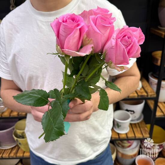 Букет из 5 розовых роз Кения 40см