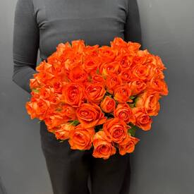 Букет из 51 розы Кения 40см в виде сердца