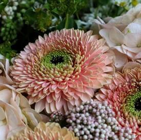 Букет из гербер, гортензий и роз