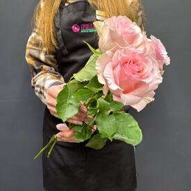 Букет из 3 розовых роз Эквадор 50см