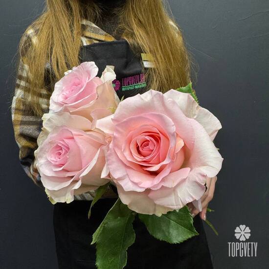 Букет из 3 розовых роз Эквадор 50см