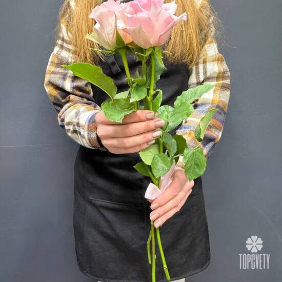 Букет из 3 розовых роз Эквадор 50см