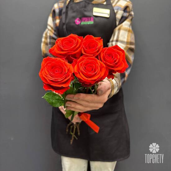 Букет из 5 красных роз Эквадор 50см